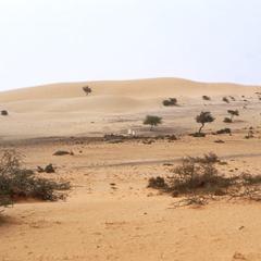 Landscape along Rosso-Nouakchott Road