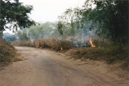 Road in the Pool during Congo's civil war