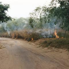 Road in the Pool during Congo's civil war