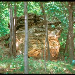 Rock outcrop in a southern forest in summer, Ridgeland