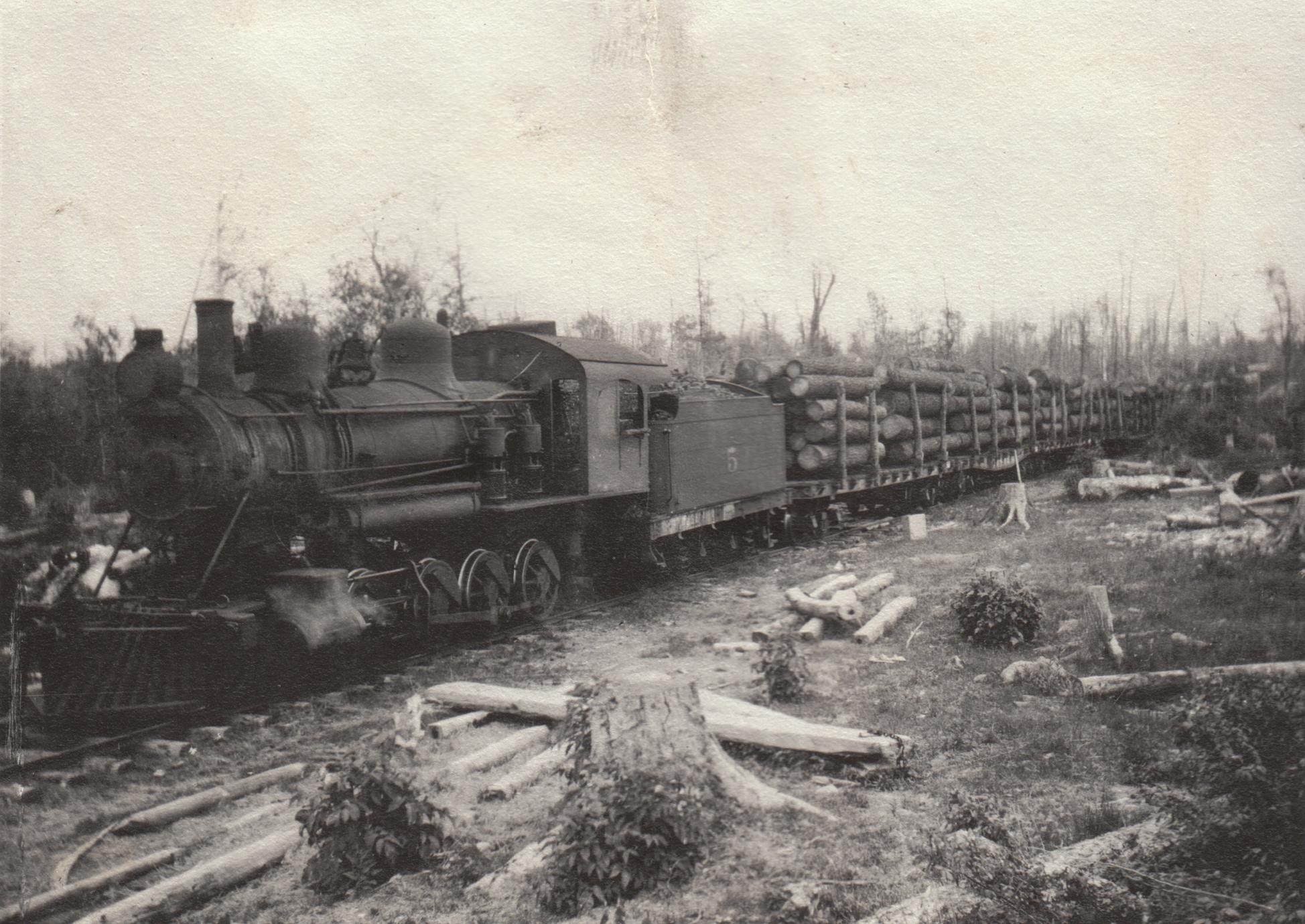 Train loaded with logs