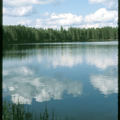 View of Firefly Lake and surrounding forest