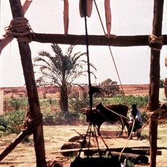 A Shadduf-Style Well Modified to Include a Pulley