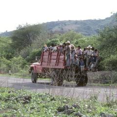 Farm workers going home to Autlán