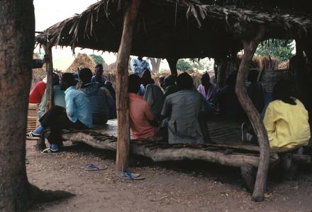 Villagers at Meeting Seated on Raised Platform (Bantaba) Under Shade Tree