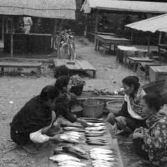 Lao women crouching, displaying fish for sale to other women, also crouching, market appears nearly over