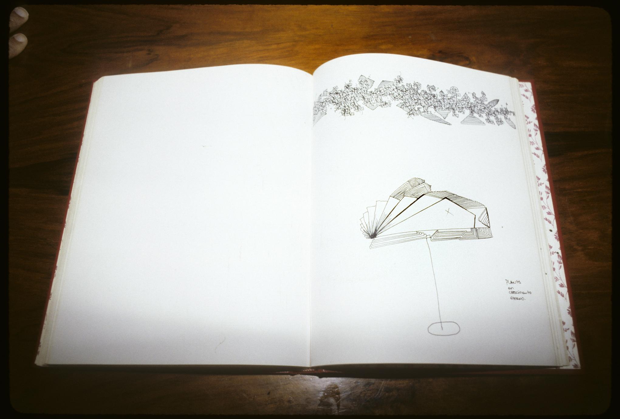Sketch Book of Jose Roberto Leonel Barreto