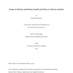 Essays on Shocks and Human Capital in African Countries