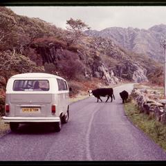 On the road toward Mallaig, Morar, the West Highlands