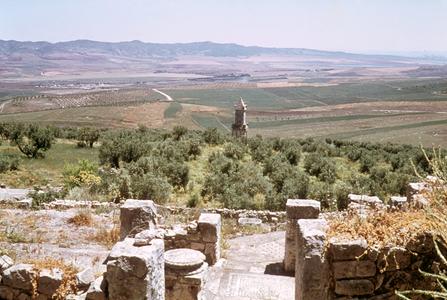 Mosaics in Roman Ruins at Dougga
