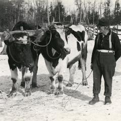 Farmer with oxen
