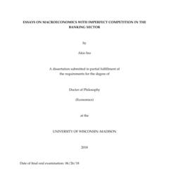 Essays on macroeconomics with imperfect competition in the banking sector