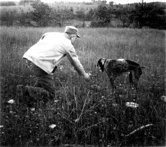 Training dog, Gus, near the Shack, ca. 1944