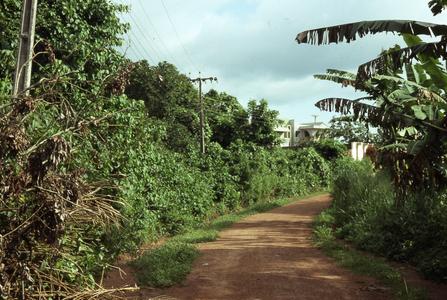 Road out of Iloko