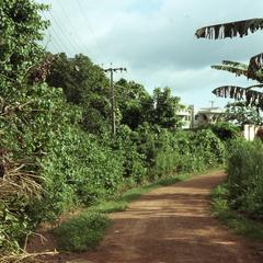 Road out of Iloko
