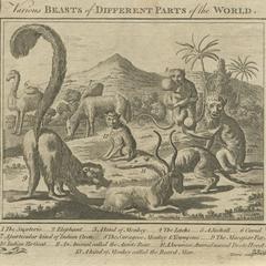Various Beasts of Different Parts of the World