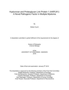 Hyaluronan and Proteoglycan Link Protein 1 (HAPLN1): A Novel Pathogenic Factor in Multiple Myeloma