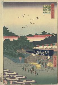 The Yamashita District of Ueno, no. 12 from the series One-hundred Views of Famous Places in Edo