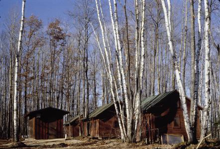 Trout Lake Station cabins