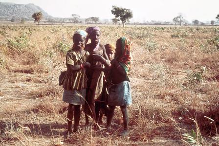 Hausa Children Gathering Firewood on Outskirts of Zaria