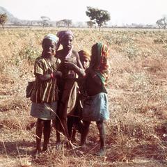 Hausa Children Gathering Firewood on Outskirts of Zaria