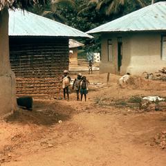 Housing Varieties in Vai Village