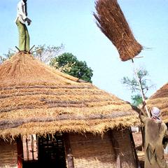 Laying Grass for the Thatched Roof