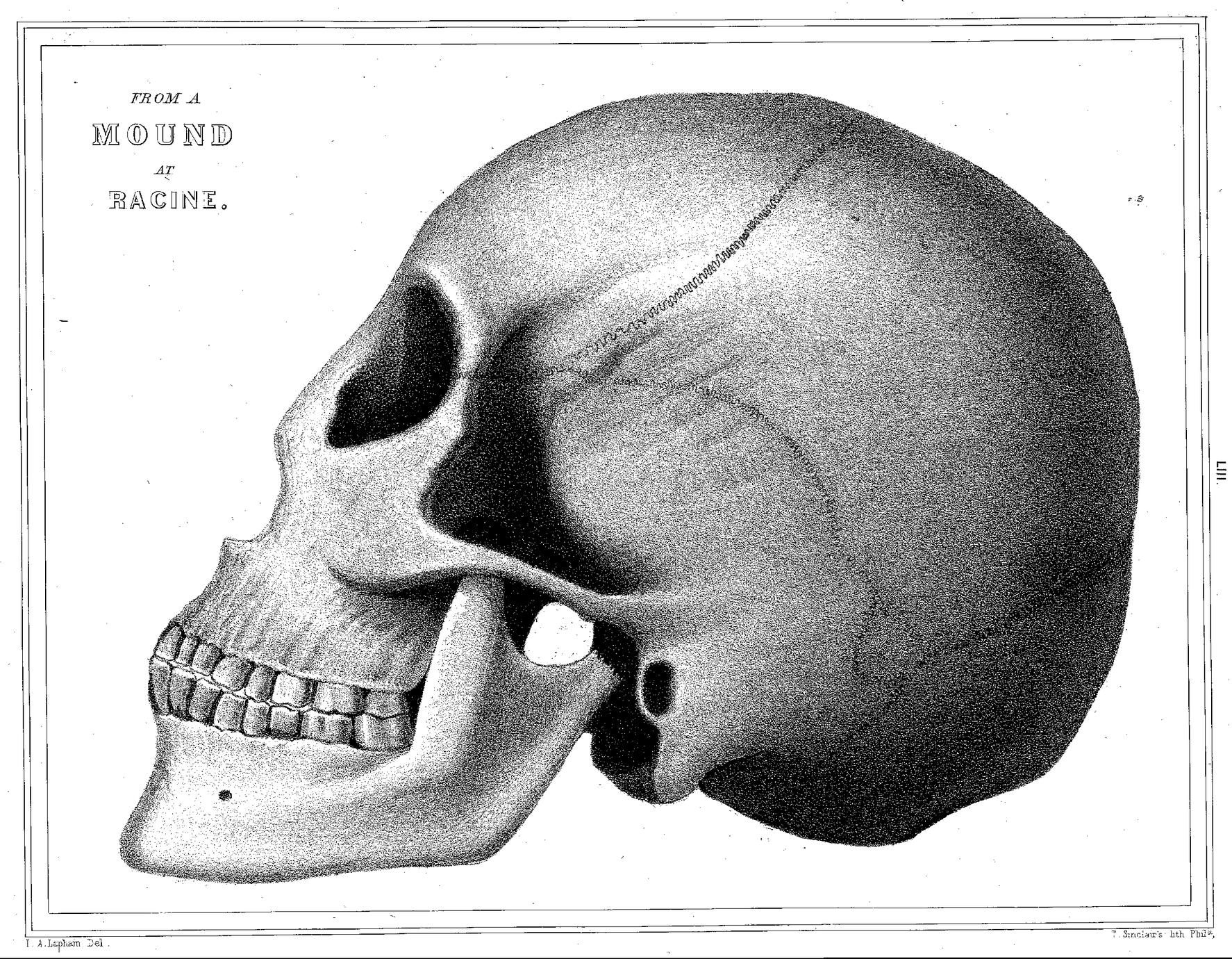 LIII. From a Mound at Racine.