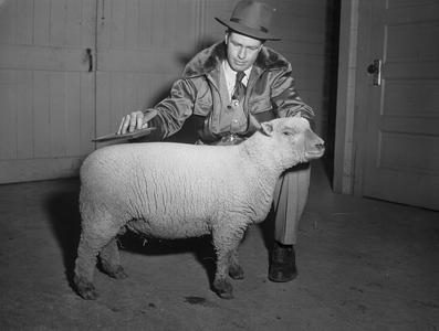 Professor Art Pope and sheep