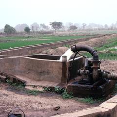 Small Irrigation Pump Typically Used to Irrigate Rice