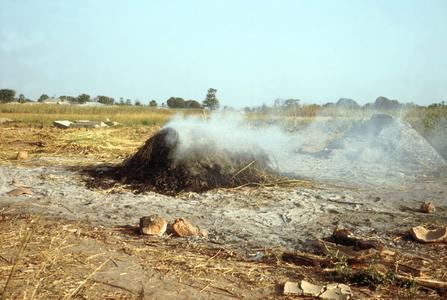 Hausa Potters' Pots Being Fired