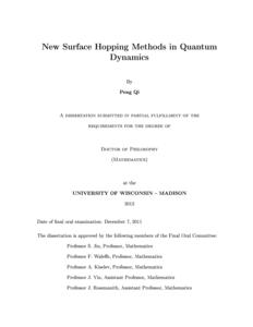 New Surface Hopping Methods in Quantum Dynamics