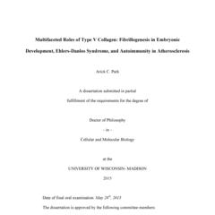 Multifaceted Roles of Type V Collagen: Fibrillogenesis in Embryonic Development, Ehlers-Danlos Syndrome, and Autoimmunity in Atherosclerosis