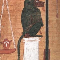 Egyptian Hamadryas Baboon Print