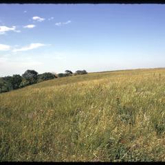 Prairie view in Kansas