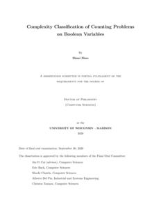 Complexity Classification of Counting Problems on Boolean Variables