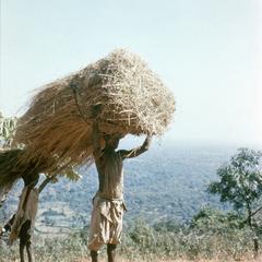 Father and Son Carrying Thatch for New Roof