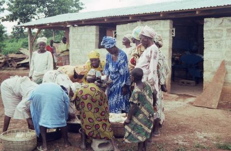 Women organizing cassava