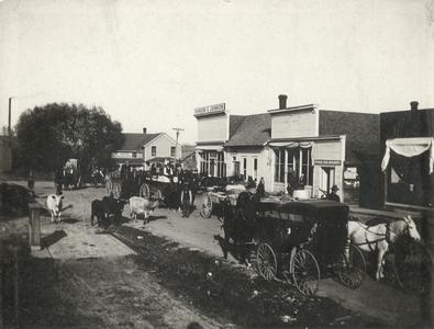 Main Street filled with cows, horses, and buggies