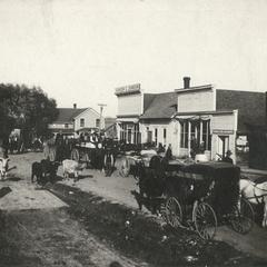 Main Street filled with cows, horses, and buggies