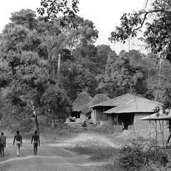 Road Through a Village