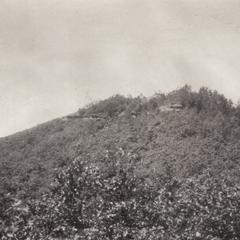 Wildcat Mound