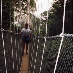 Jim Stills on rope bridge in the Kakum National Park