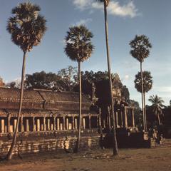 Angkor Wat : temple and trees