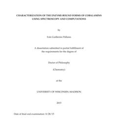 Characterization of the enzyme-bound forms of cobalamins using spectroscopy and computations