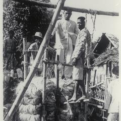 A native hemp press, Albay Province, 1907