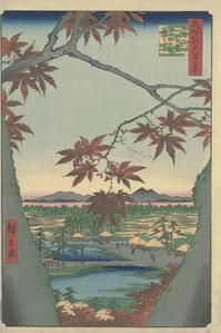 Maple Leaves at Mama, the Tekona Shrine, and Tsugi Bridge (Mama no momiji, Tekona no yashiro, Tsugihashi), no. 94 from the series One-hundred Views of Famous Places in Edo (Meisho Edo hyakkei)