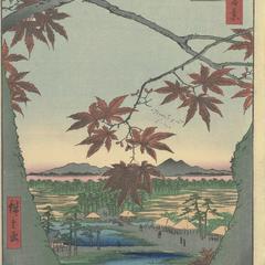 Maple Leaves at Mama, the Tekona Shrine, and Tsugi Bridge (Mama no momiji, Tekona no yashiro, Tsugihashi), no. 94 from the series One-hundred Views of Famous Places in Edo (Meisho Edo hyakkei)