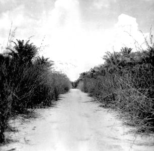 Sandy Rural Road During the Rainy Season