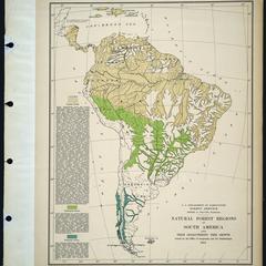 Natural forest regions of South America and their characteristic tree growth [copy 2]